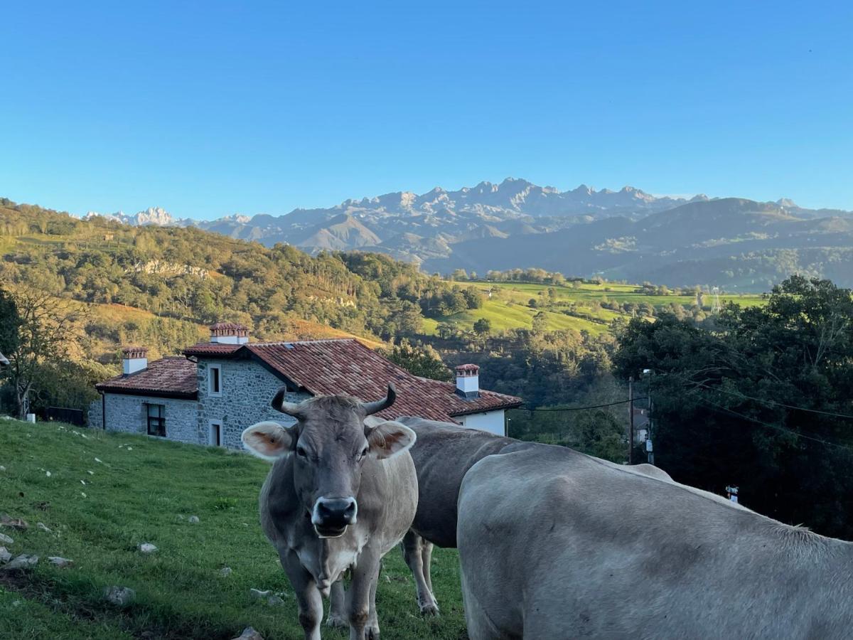 Apartamentos Picabel Cangas de Onis Bagian luar foto